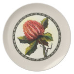 Australian Wild Flowers Banksia plates