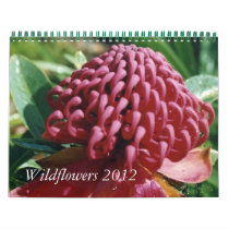 Australian Wildflowers 2012 Calendar