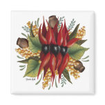 Australian Wildflowers - Sturt Desert Pea Fridge Magnets