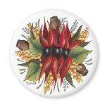 Australian Wildflowers - Sturt Desert Pea Magnet
