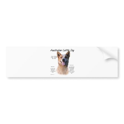 AustralianCattle Dog (redspec) History Design Bumper Sticker by GreyWolfCreation