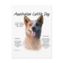 AustralianCattle Dog (redspec) History Design postcards