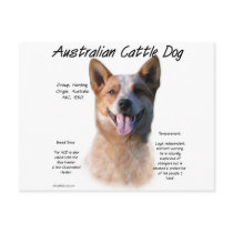 AustralianCattle Dog (redspec) History Design Postcard