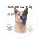 AustralianCattle Dog (redspec) History Design Round Stickers