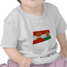 Austria-Hungary Waving Flag (1869-1918) Tees