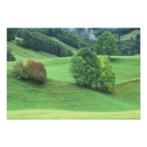 Austria. Rolling green hillside and trees