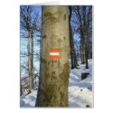 austrian tree cards by cardart austrian tree cards