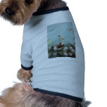 Authenticity Dog Clothing