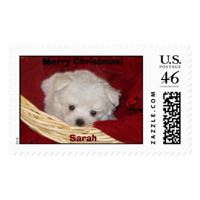 Author Kim Elizabeth's Baby Sarah! Stamp by KIMDOLL13