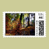 Autmn in the park postage by tina626 Autmn in the park postage