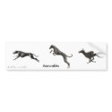 AUTOCOLLANT Azawakhs noirs bumper stickers