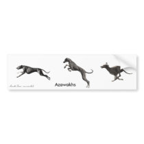 AUTOCOLLANT Azawakhs noirs bumper stickers by Azawakh_France AUTOCOLLANT Azawakhs noirs bumper stickers