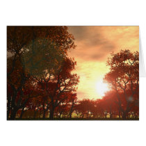 Automne 1 cards