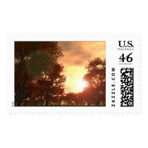 Automne 1 postage