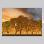 Automne cards