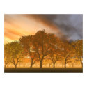 Automne posters by HurricaneRelief Automne posters