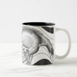 “Autopsy” (Detail) Mug by Darin Jones mugs