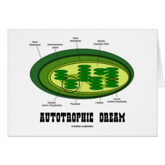 Autotrophic Dream (Biology Humor Food For Thought) Cards