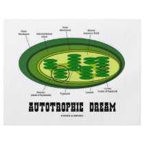 Autotrophic Dream (Biology Humor Food For Thought) flyers