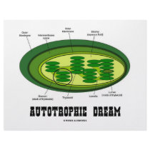 Autotrophic Dream (Biology Humor Food For Thought) letterhead by wordsunwords Autotrophic Dream (Biology Humor Food For Thought) letterhead