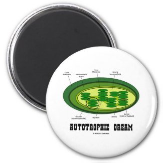 Autotrophic Dream (Biology Humor Food For Thought) Refrigerator Magnets