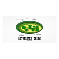 Autotrophic Dream (Biology Humor Food For Thought) photo cards by wordsunwords Autotrophic Dream (Biology Humor Food For Thought) photo cards