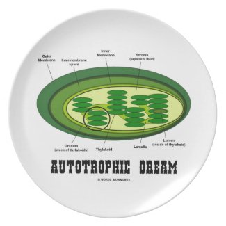 Autotrophic Dream (Chloroplast Biology Humor) Plates