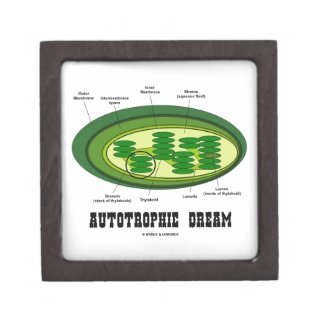 Autotrophic Dream (Chloroplast Biology Humor) Premium Keepsake Boxes