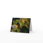 Autum Beech Foilage Note Card