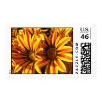 Autum Colors Stamps