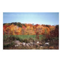 Autum In New York posters by dryflycaster Autum In New York posters