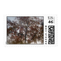 Autum leafs postage stamp