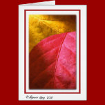 Autum Leaves cards