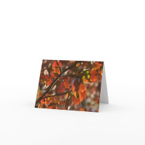 Autum leaves cards