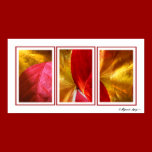 Autum Leaves posters