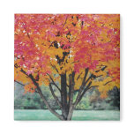 Autum Magnet