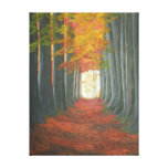 Autum Path Canvas Prints