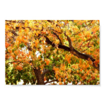 Autum posters by stardustdeep Autum posters