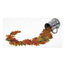 Autumn082509 photo cards