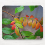 Autumn-023 Mouse Pad Autumn-023 Mouse Pad