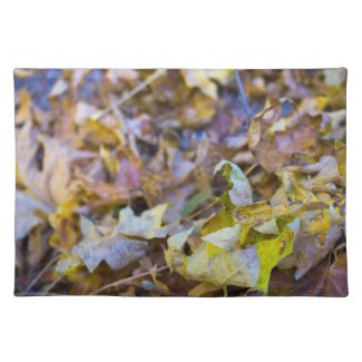 Autumn 13 placemats