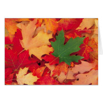 autumn (15) card