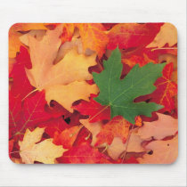autumn (15) mousepad