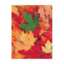 autumn (15) postcard