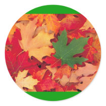 autumn (15) round sticker
