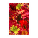 'Autumn 1.1' posters