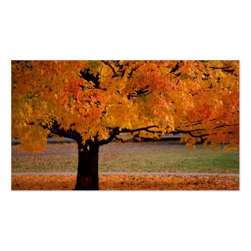 autumn (1), Name, Address 1, Address 2, Contact... Business Card Template (back side)