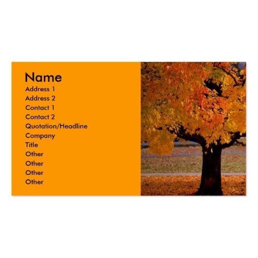 autumn (1), Name, Address 1, Address 2, Contact... Business Card Template