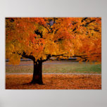 autumn (1) posters