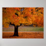autumn (1) posters